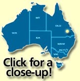 Click for a close-up!